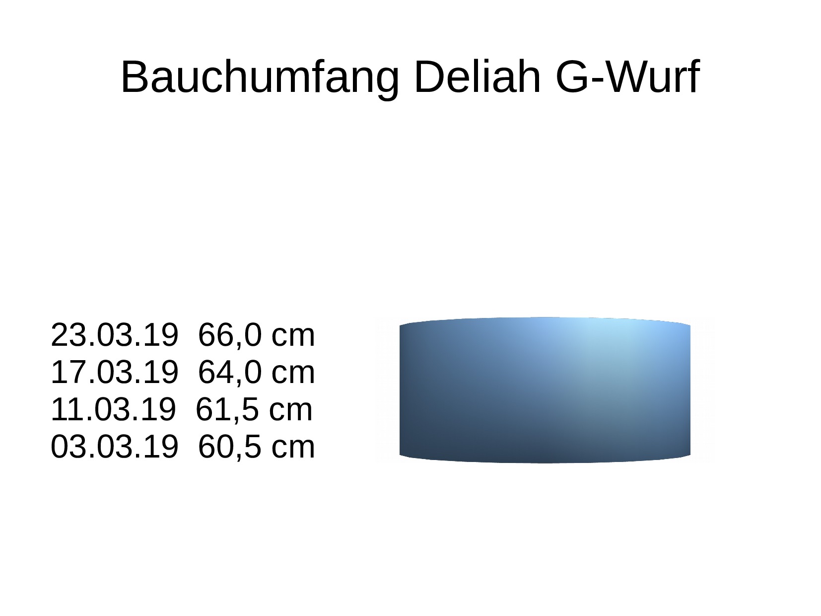 Bauchumfang Deliah G-Wurf
